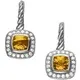 ZH Gems gem earrings reliable supplier for jewelry store 3