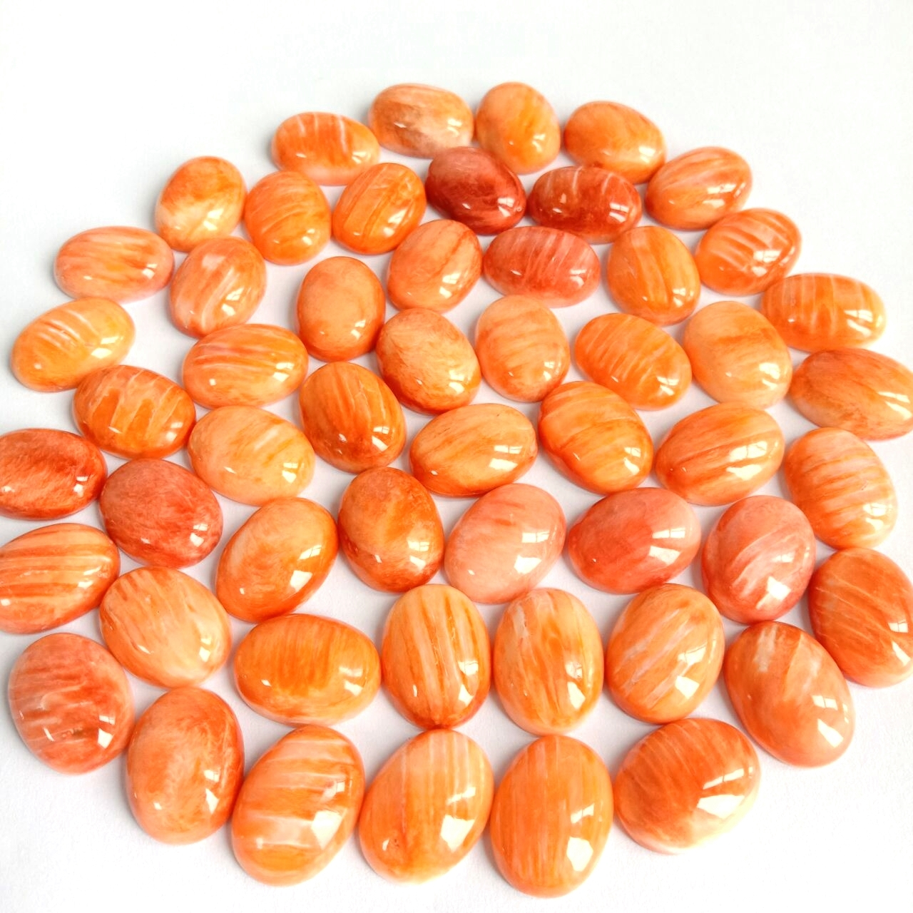 Cabochon ovalado de concha de ostra espinosa de alta calidade 12x16 mm 1