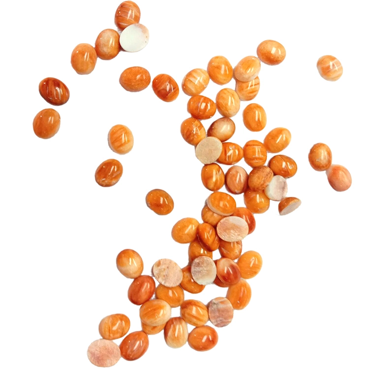 가시 굴 오렌지 카보 숑 내츄럴 레드 또는 Orange4mm 5mm6mm 보석 가시 굴 타워 모양 쉘 1