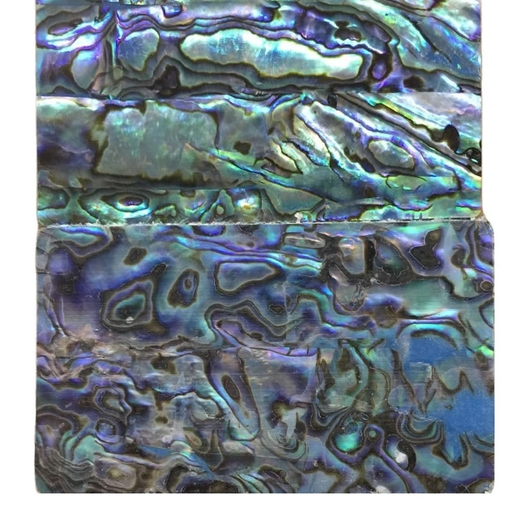 Myele Abalone shell Mosaic Cabochon bakeng sa mabenyane a 11 abalone shell abalone 1
