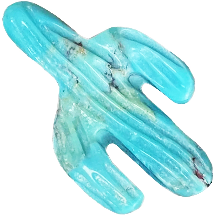 Blue Sonora Turquoise cactus Schochon 1
