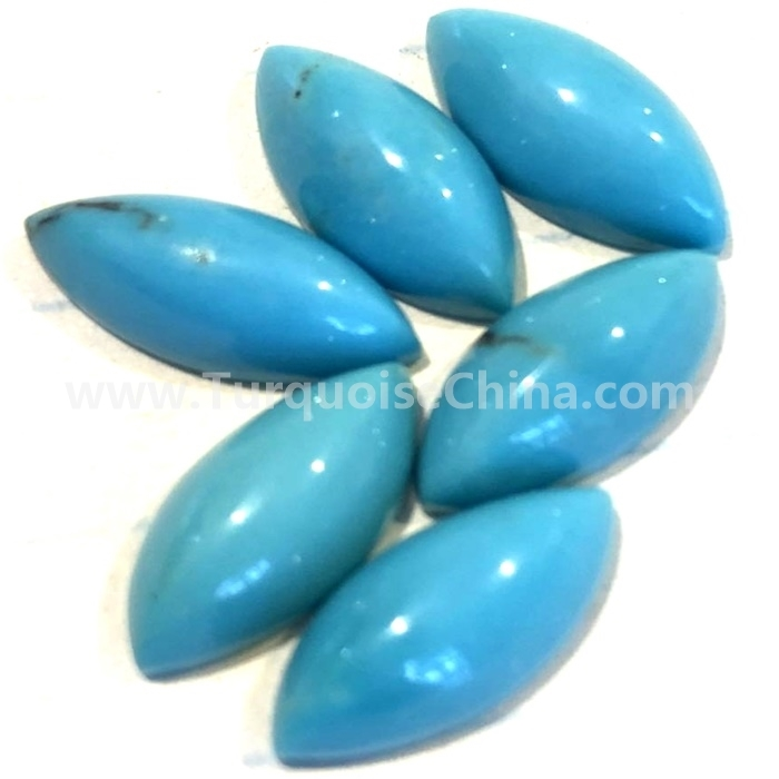 Dị nsọrị ezi turquoise andochons shevette cabosons 1