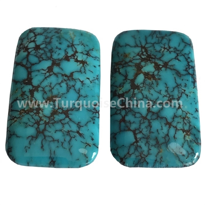 Natürlicher chinesischer Spiderweb türkisfarbener Cabochon 1
