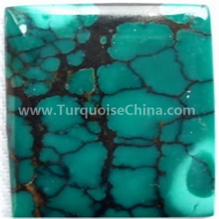 Arizona turquoise rectangle cushion cabhochoni 1