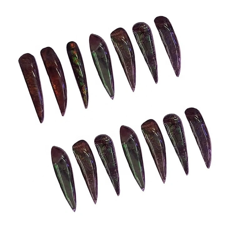 Ammolit Gemstone Cabochons Biżuteria 1