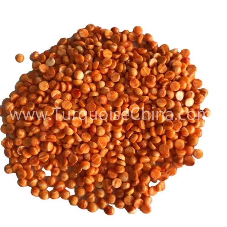 Orange-color Apple Coral round shape gemstone cabochon 1