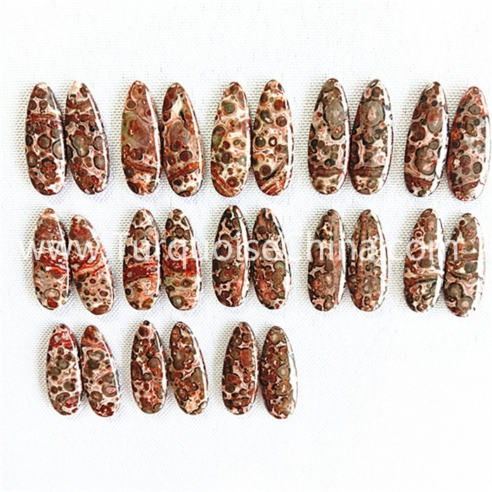 Ulusu lwe-leopard ye-lelerd 1