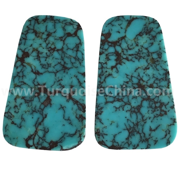 SpiderWeb Turquoise trapèz matche kabochons pè 1