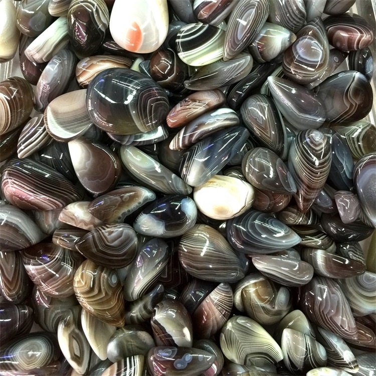 Faʻaletonu le Atifoaʻi Par Coar Coabocon matagofie ma tulaga ese mamanu faia 33