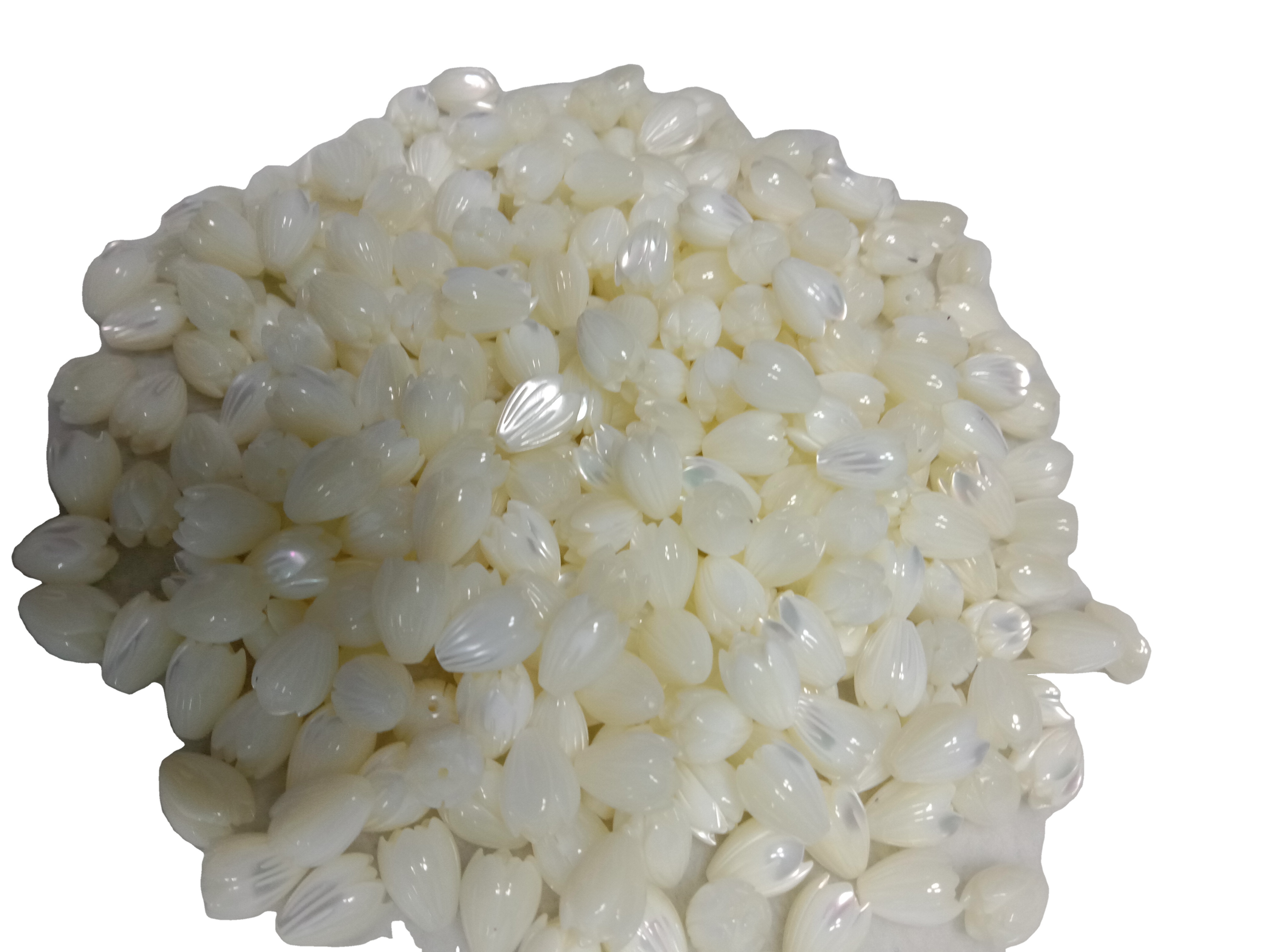 Природни бела школка гроздобер лалиња Белата четка Цвет мониста Белата мајка на бисер Tulip цвеќиња 10x13 40