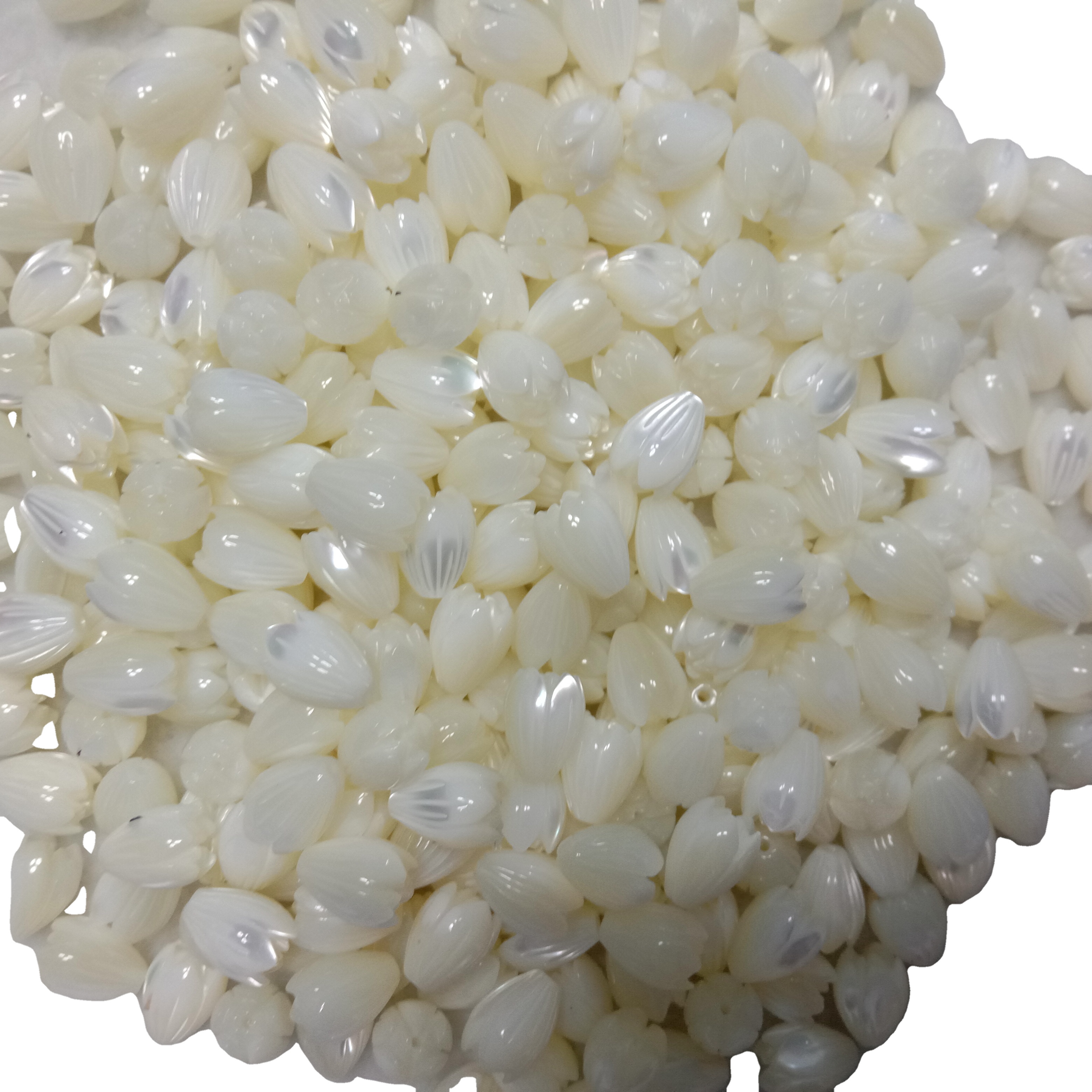 Природни бела школка гроздобер лалиња Белата четка Цвет мониста Белата мајка на бисер Tulip цвеќиња 10x13 42