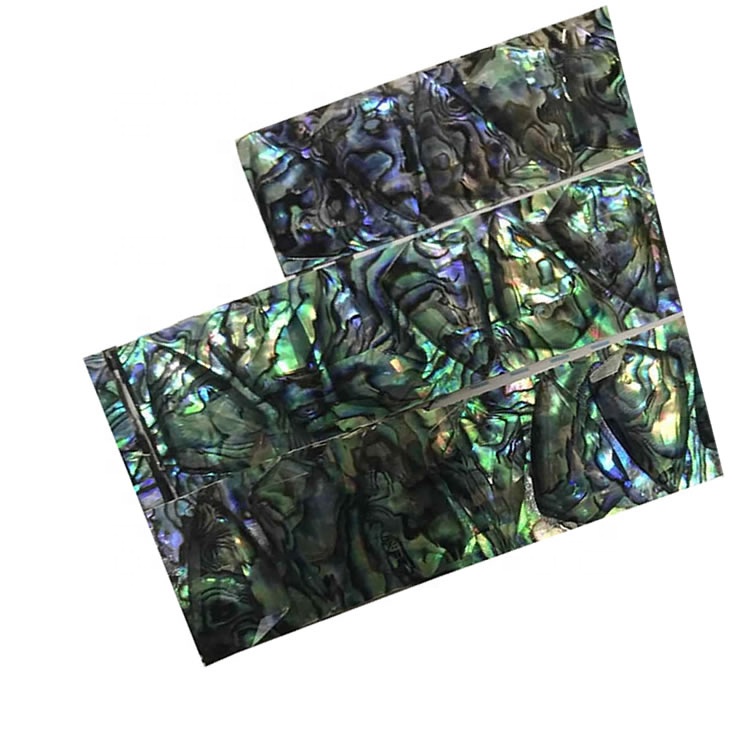 Табиғи Авалон қабығы Лоттар 38