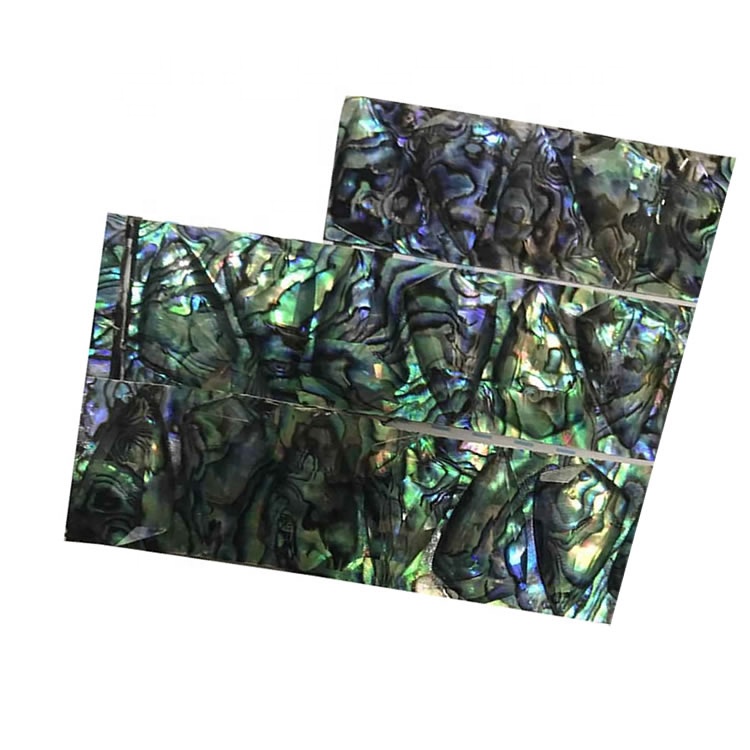 Табиғи Авалон қабығы Лоттар 36