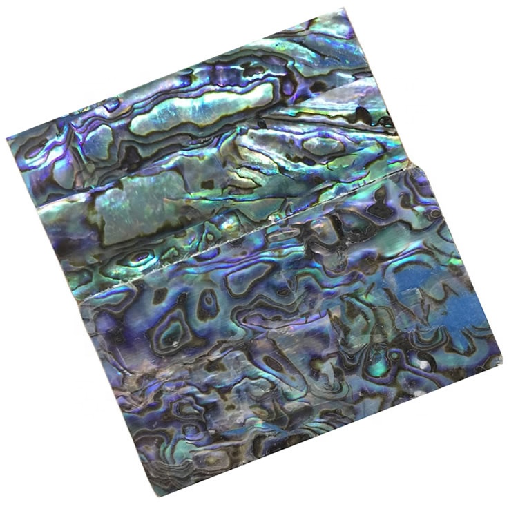 Myele Abalone shell Mosaic Cabochon bakeng sa mabenyane a 11 abalone shell abalone 32