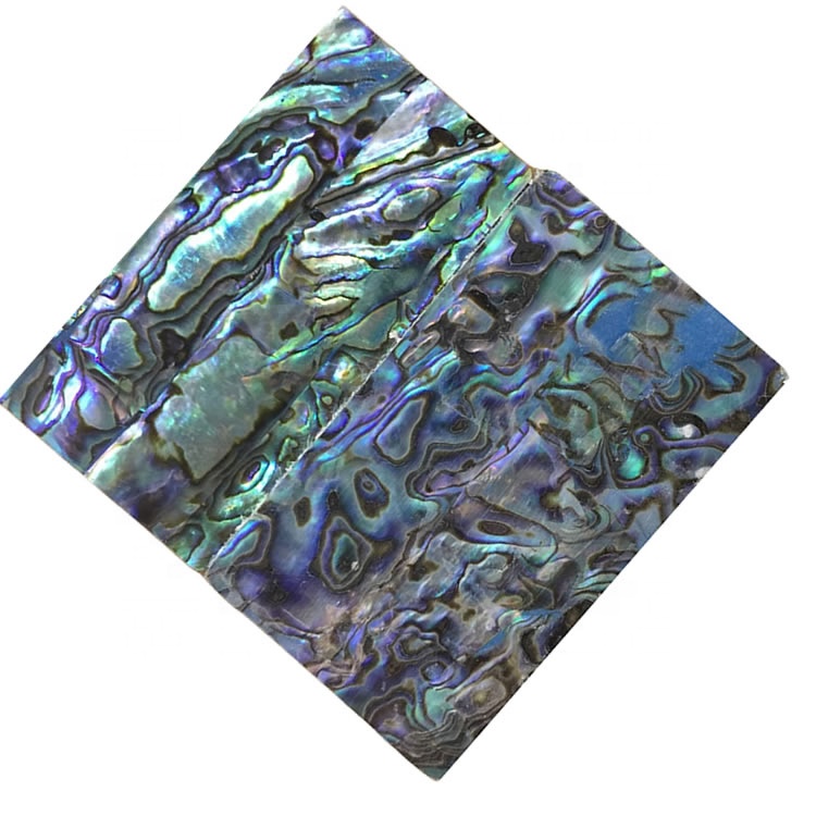 Myele Abalone shell Mosaic Cabochon bakeng sa mabenyane a 11 abalone shell abalone 36