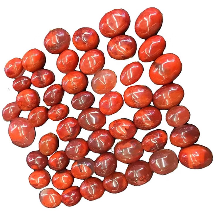 Na-emepụta ihe arụpụtara nanhong na-egbu egbu na-emebi sanurons 39