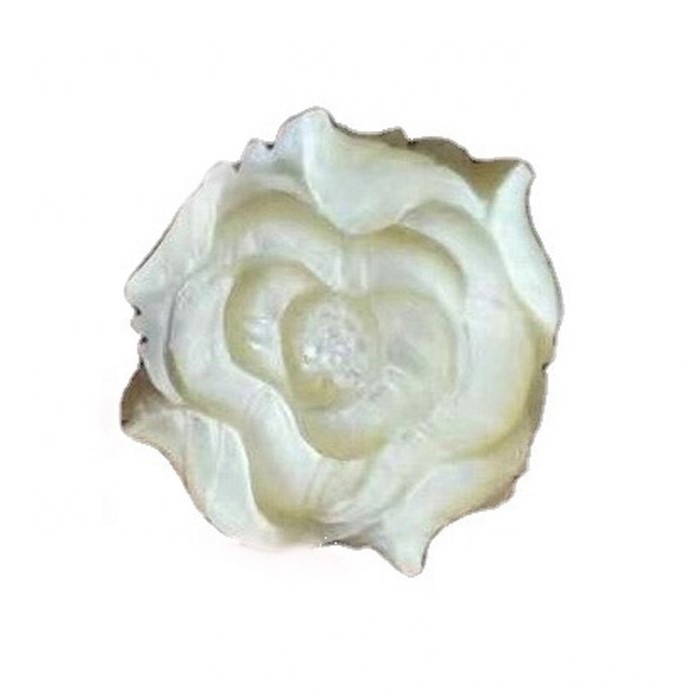 Shell Rose Rows ubaxa ubaxa ee dumarka / iibinta kulul ee cad cad waa 100% dabiici ah 36