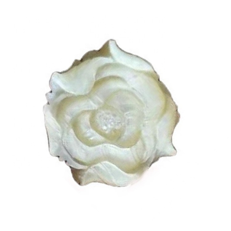 Shell Rose Rows ubaxa ubaxa ee dumarka / iibinta kulul ee cad cad waa 100% dabiici ah 40