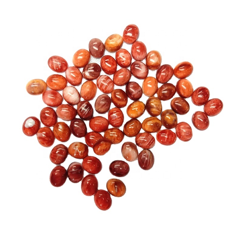 Bentuk keranjang kerang tabrakan alami 9