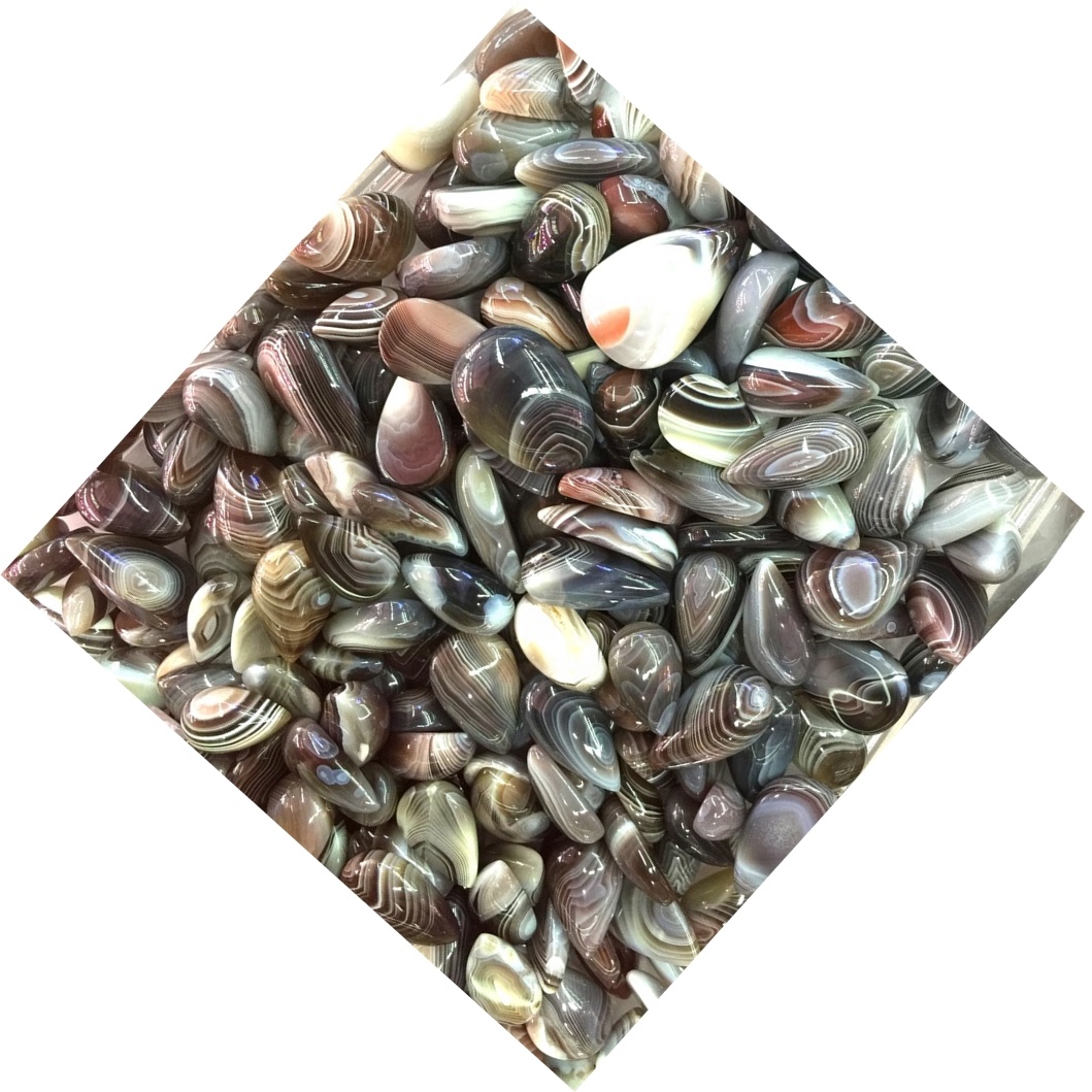 Табиғи натуралды алмұрт 31