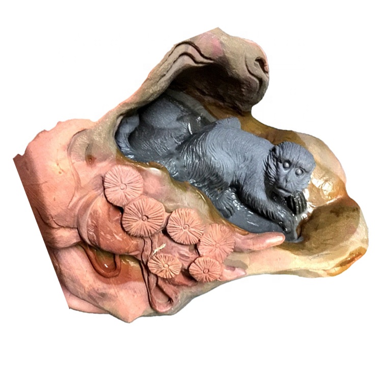 Amerika huet den AMVED Monkey Déier Stone Stone 35