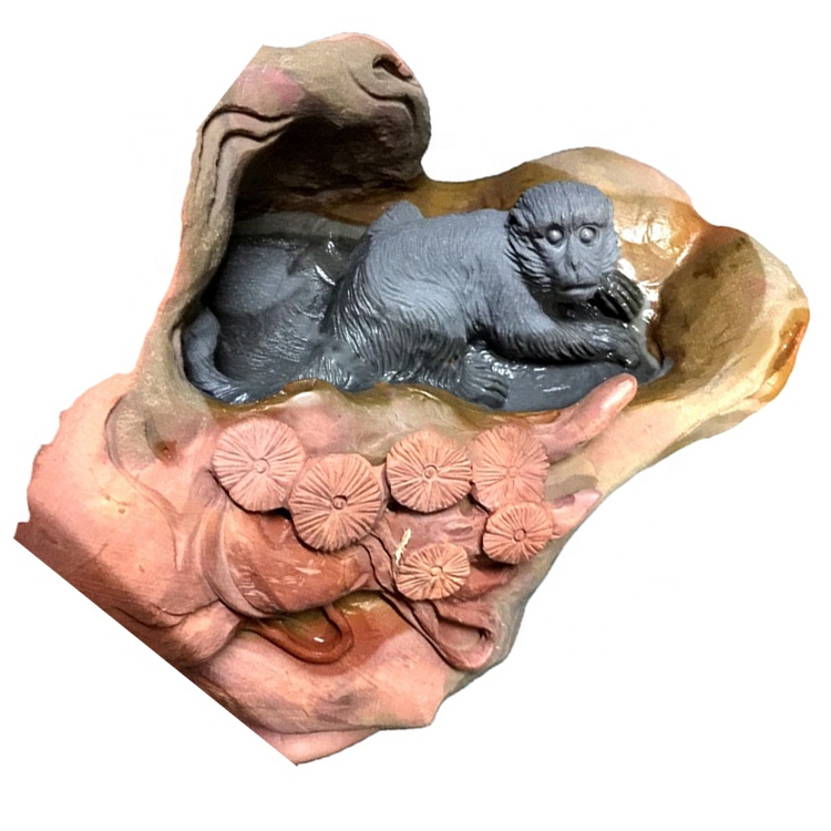 Amerika huet den AMVED Monkey Déier Stone Stone 37