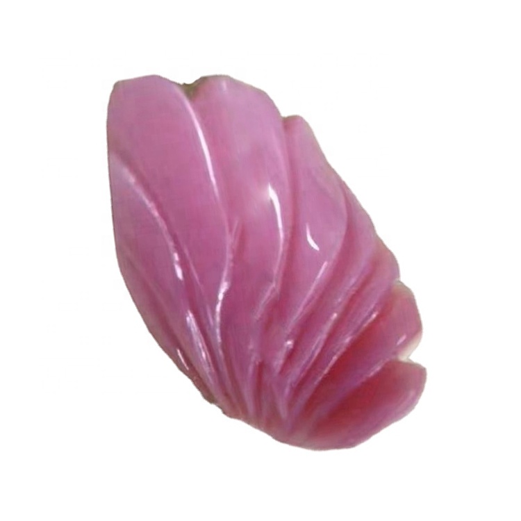 Iigreyitha ezahlukeneyo / i-amer / iintyatyambo / ikati ye-Cat / i-fox / i-shell eqingqiweyo 32