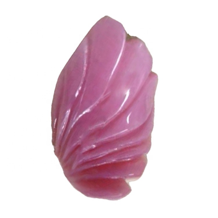 Iigreyitha ezahlukeneyo / i-amer / iintyatyambo / ikati ye-Cat / i-fox / i-shell eqingqiweyo 34