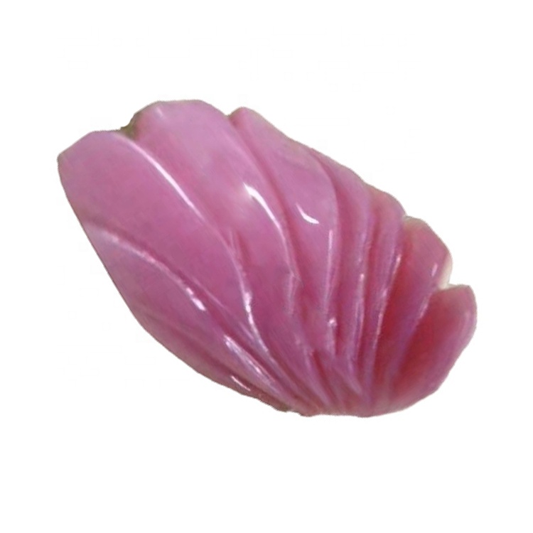 Iigreyitha ezahlukeneyo / i-amer / iintyatyambo / ikati ye-Cat / i-fox / i-shell eqingqiweyo 36