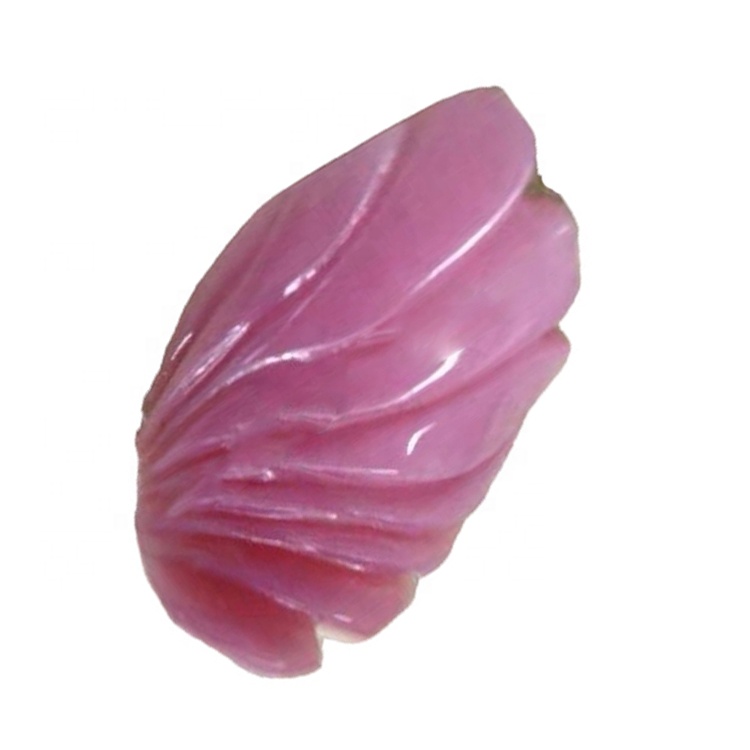 Iigreyitha ezahlukeneyo / i-amer / iintyatyambo / ikati ye-Cat / i-fox / i-shell eqingqiweyo 38