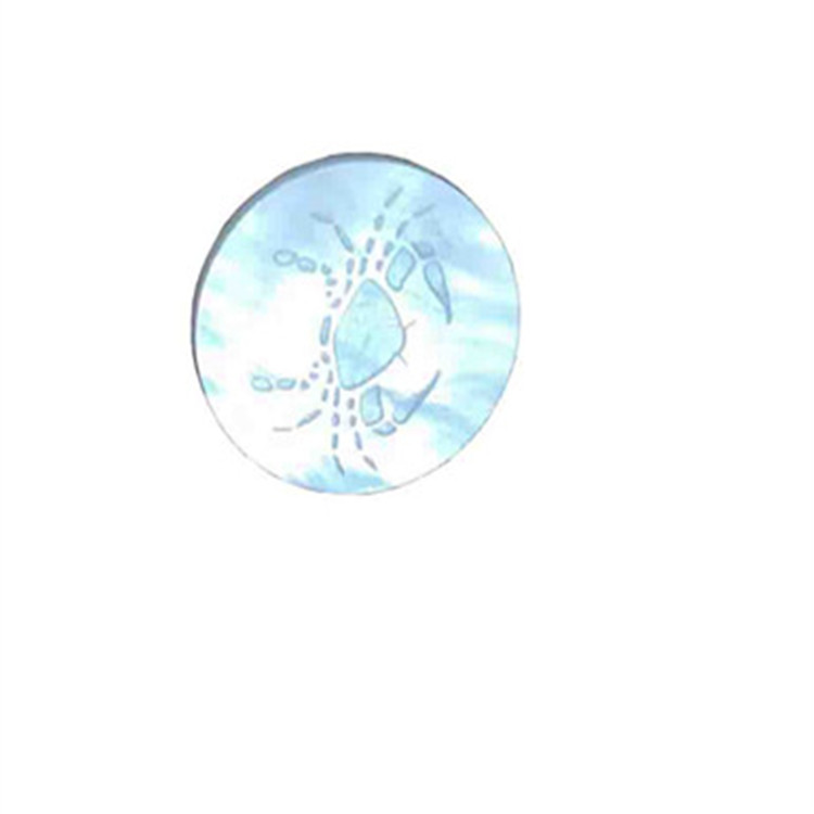 Iibka kulul ee Burresale LoDiss zodiac calaamadaha lagu xardhay guntin dabiiciga ah 41