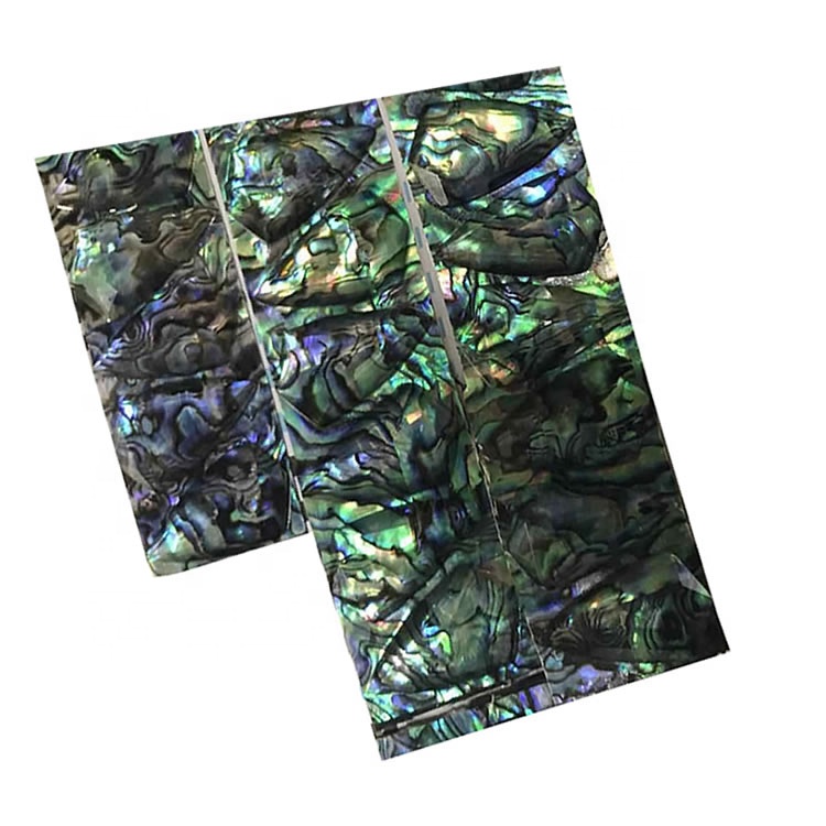 Vỏ bào ngư tự nhiên rất nhiều vỏ bào ngư Vỏ cho trang sức Làm đá cho Macrame 34