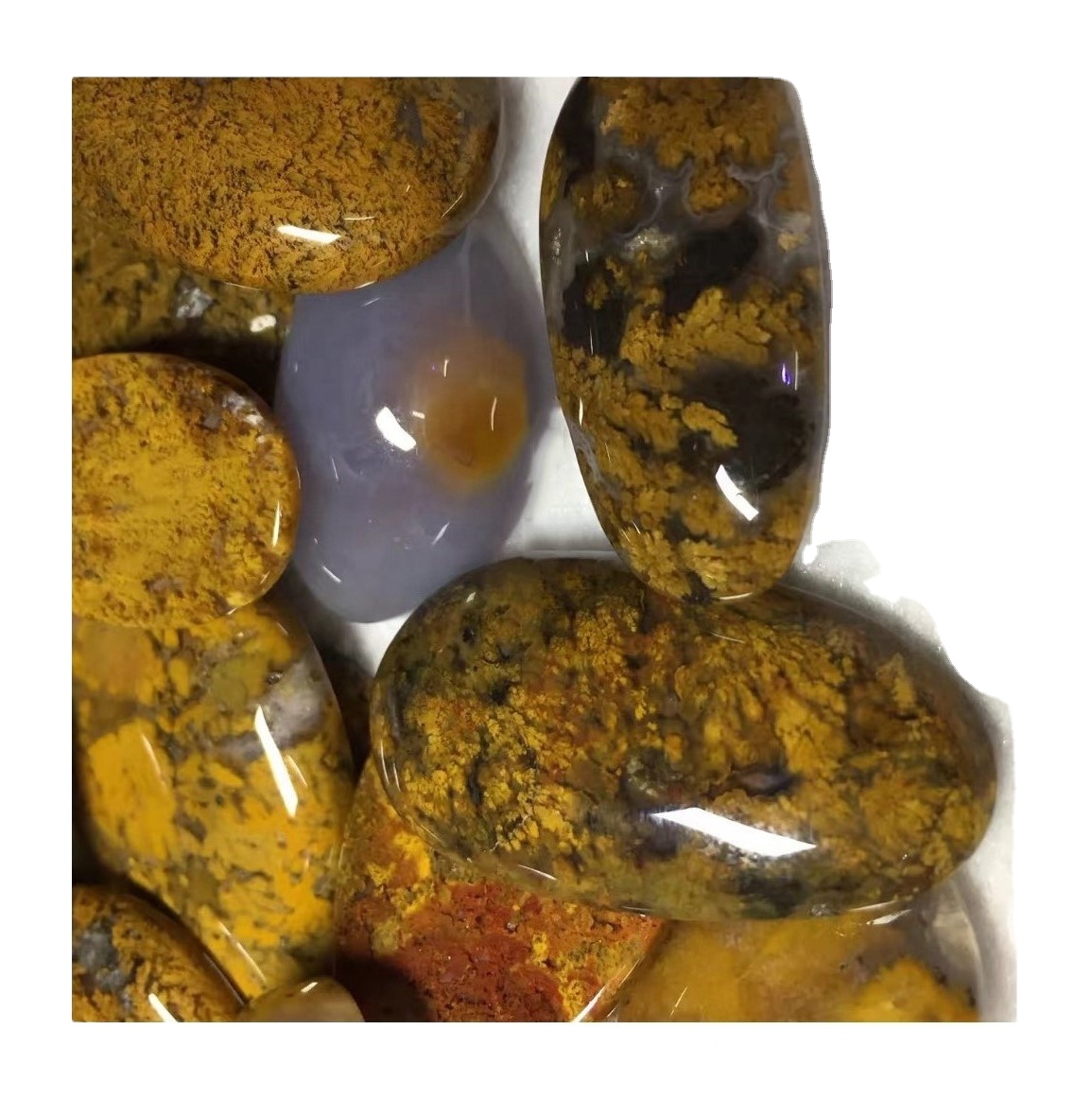 3a kalidad nga natural nga yellow nga yellow moss agate cabochon nga wala'y sapayan nga semastone 9