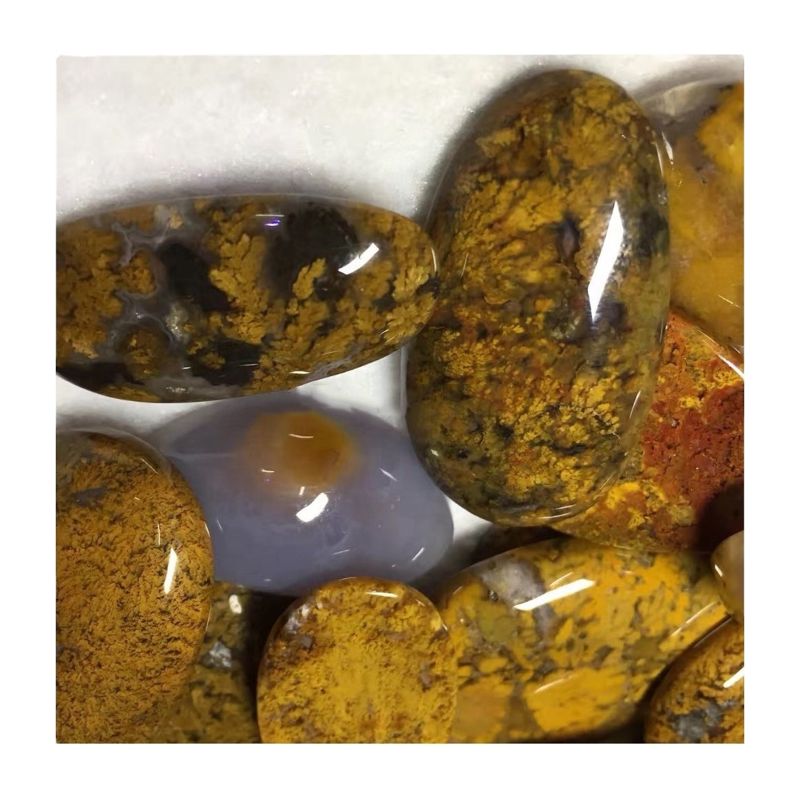 3a kalidad nga natural nga yellow nga yellow moss agate cabochon nga wala'y sapayan nga semastone 13