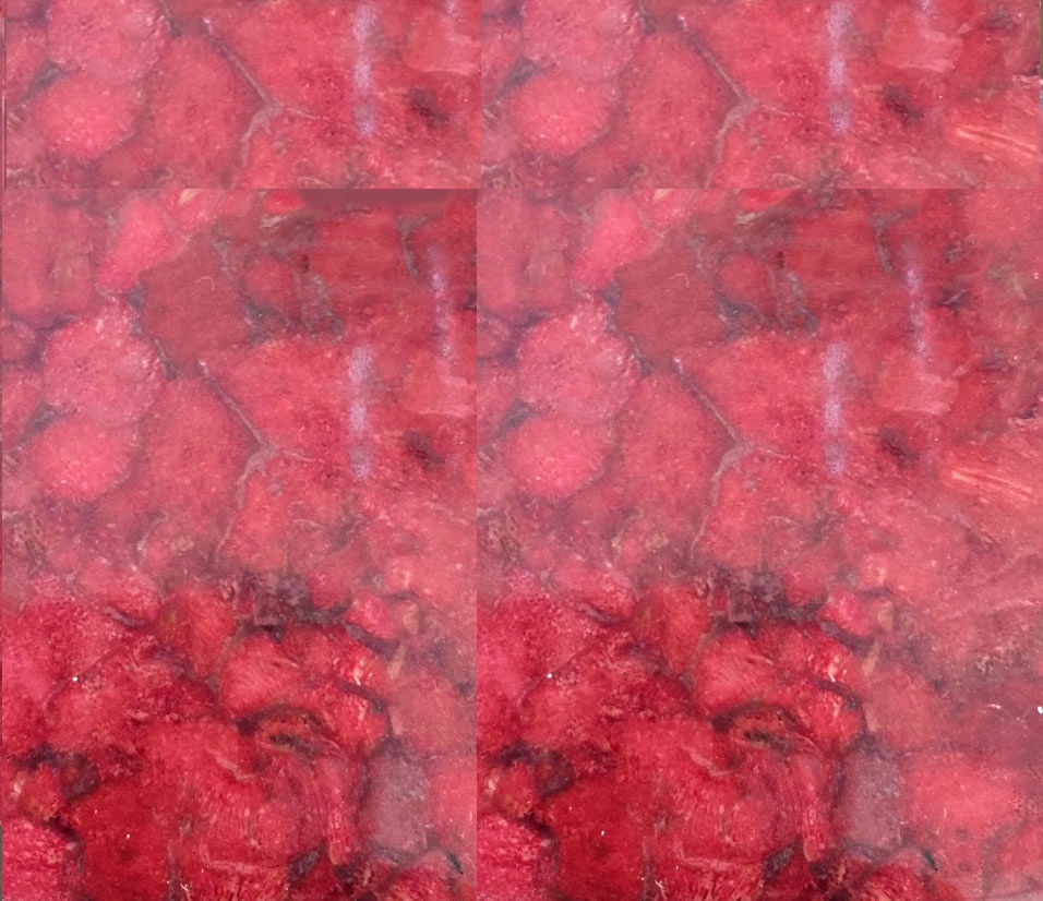 Rooi Koraal saamgeperste blok maak groothandel 13