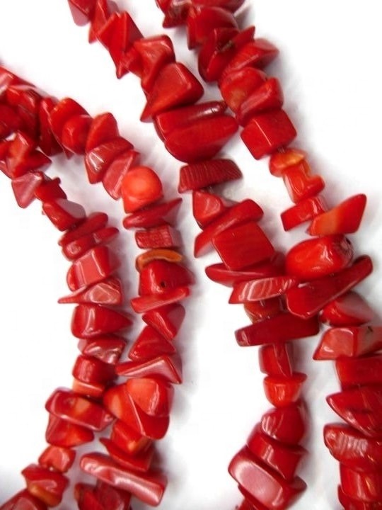 Apple Coral Chips мончоктор Red Coral Beads Chip Gemsone мончок 13