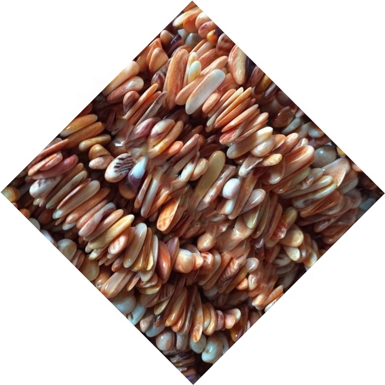 Cuentas de chips de conus shell (2- 3 mm, 24 pulgadas de hebra) 36