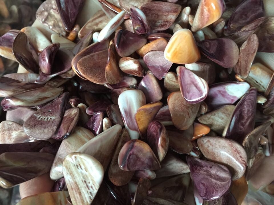 Зер буюмдары үчүн чиптер кабыгы 36