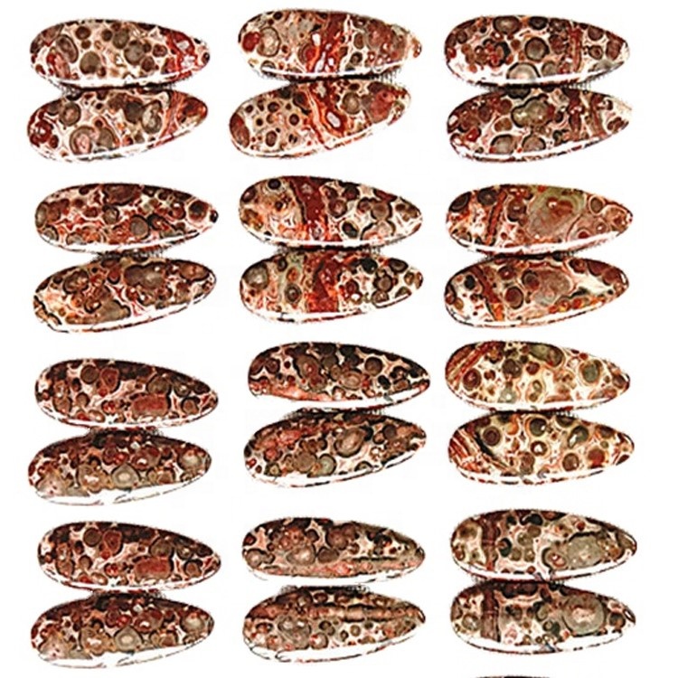 Prirodni leopard s kožom lijevo i desno 42