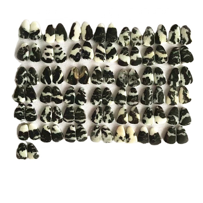 Halittar dabi'ar dabi'ar dawakai Zebra Zebra 36