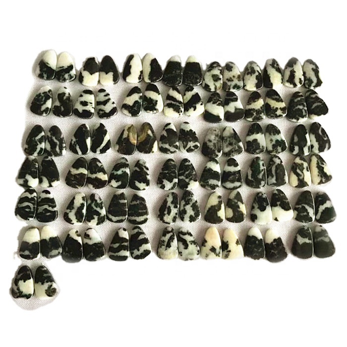 Halittar dabi'ar dabi'ar dawakai Zebra Zebra 38