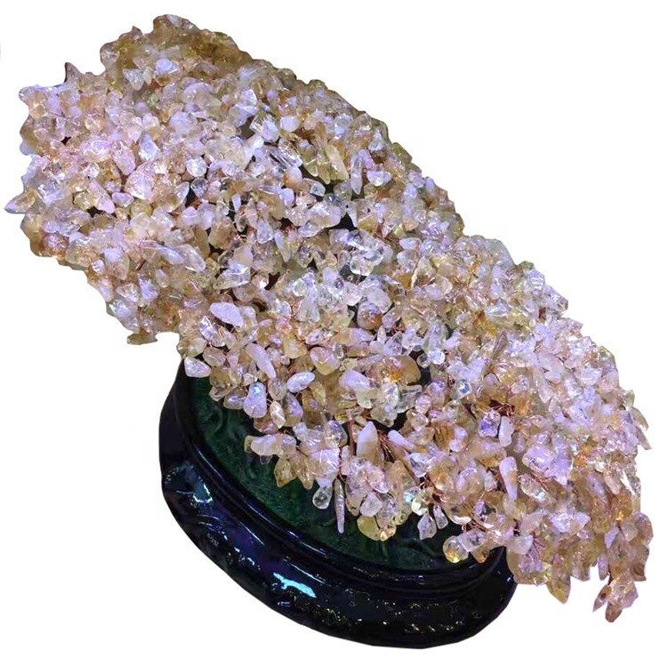 Pemë natyrore simetrike simetrike 17