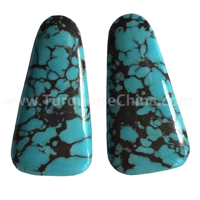 Isigcawu se-spiderweb turquoise cabochon trapezoid strapezoid brown emdaka ngombala omdaka 1