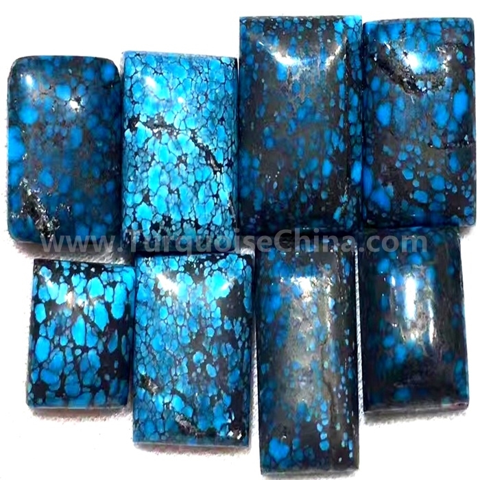 ZH قیمتي | کامل سپیډر ویب فیروزی د باور وړ عرضه کونکی 2