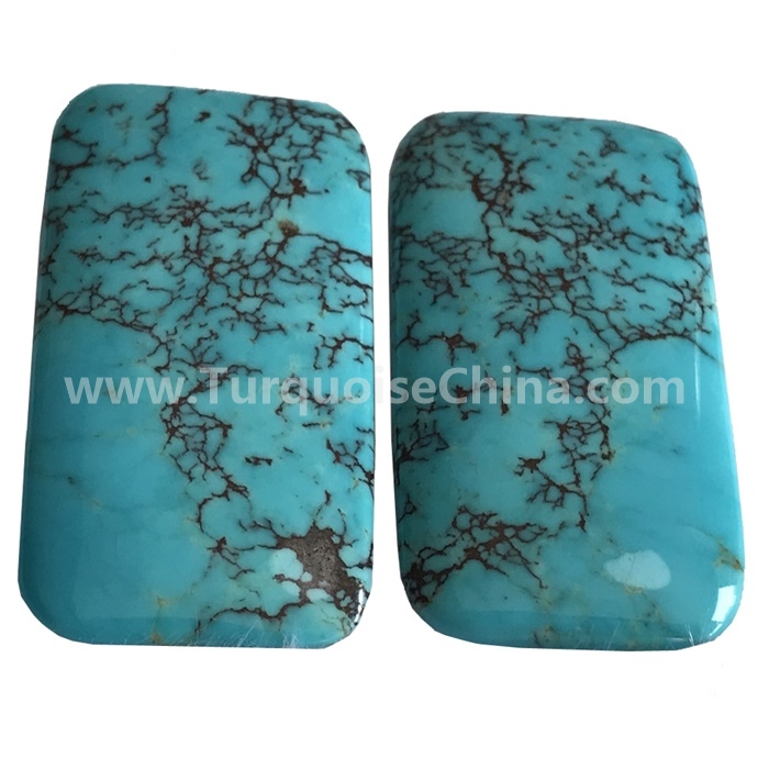 د ښه کیفیت طبیعي ډبرې cabochons عرضه کوونکي | ZH قیمتي 8