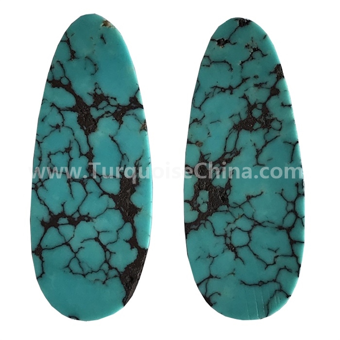 How To Own turquoise earrings For Free