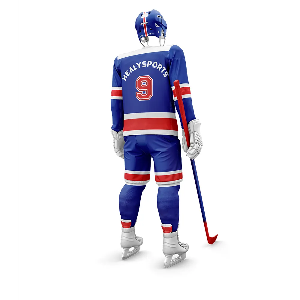 Healy Sportswear Reverse Retro Hockey Jerseys TT Full Payment Before Shipment (30% in Advancevendor 2