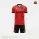 Healy Sportswear | High-quality Soccer Jersey Factory Supplier 1