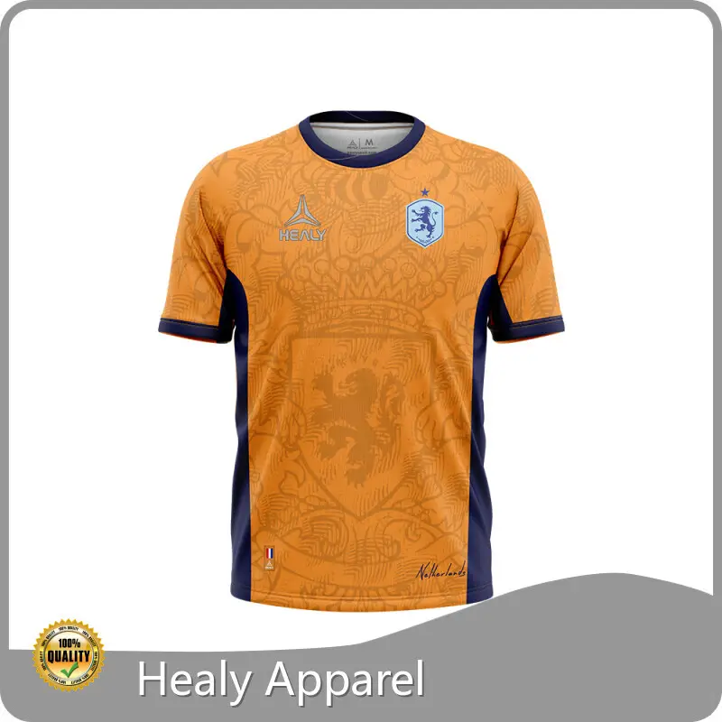 Custom Soccer Jersey Customized Healy Sportswear Brand Soccer Wear 1