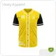 Healy Sportswear | Top Long Baseball Jersey Factory 1